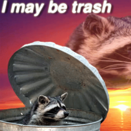 Racoon Inside Garbage Drum GIF