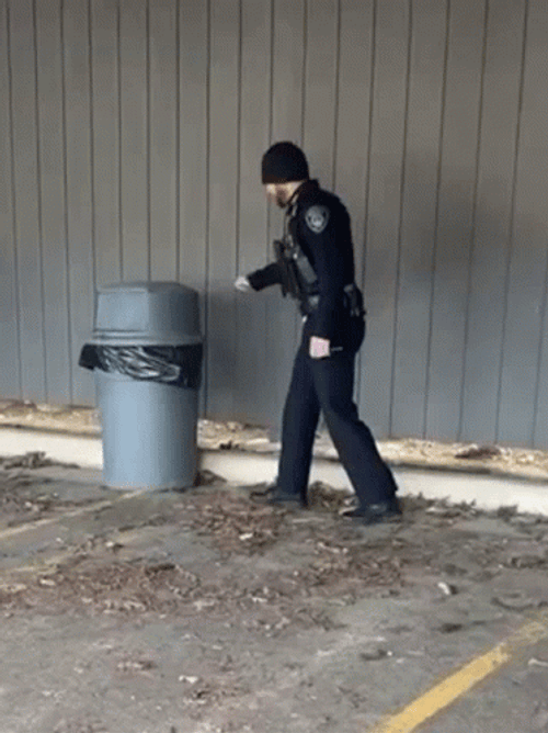 Racoon Living In Trash Bin GIF