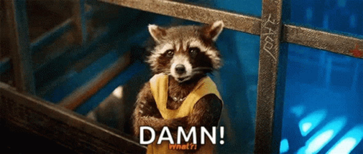 Racoon Pissed At Work GIF