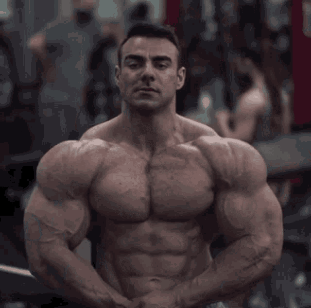 Rafael Brandao Gif GIF