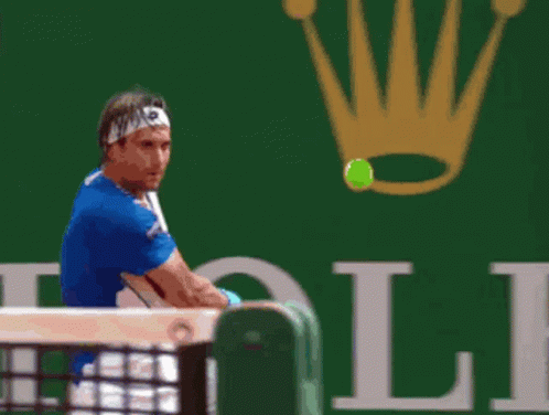 Rafael Nadal David Rolex Logo Court GIF