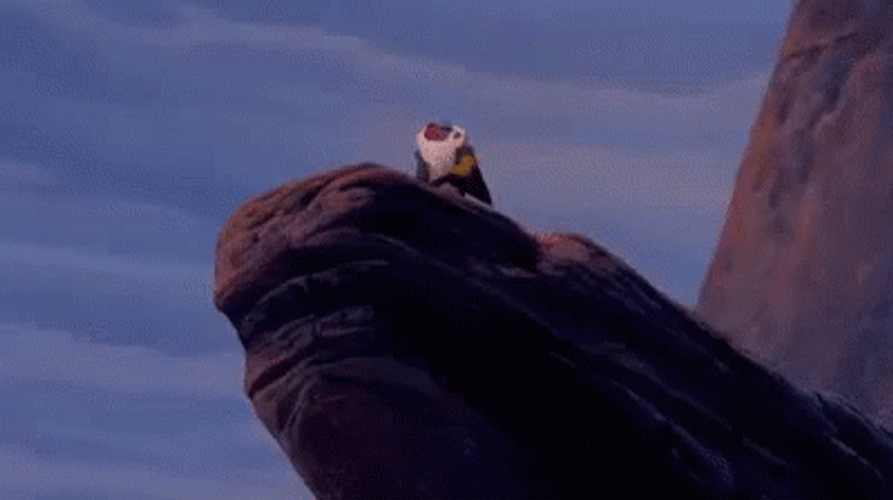 Rafiki Simba Circle Of Life  GIF