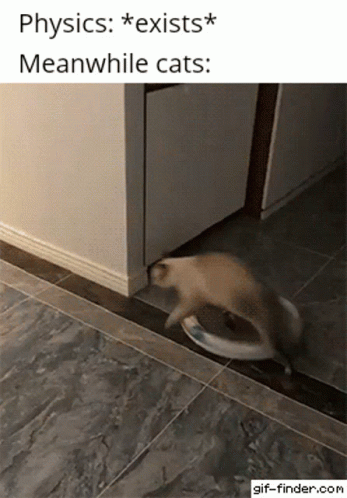 Rag Doll Cat Physics GIF