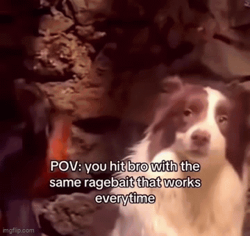 Ragebait Rage Bait Dog GIF