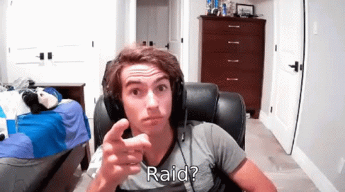 Streamer Questionable Raid GIF