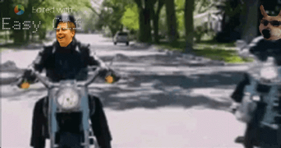 Raiden Punching Armstrong GIF