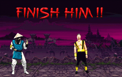 Raiden Wins Fatality GIF