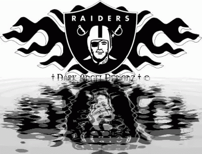 Raiders Logo Reflection