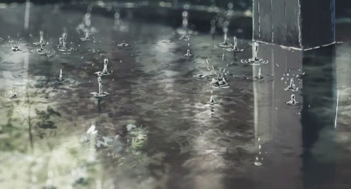 Rain Drops Falling Into Puddle GIF