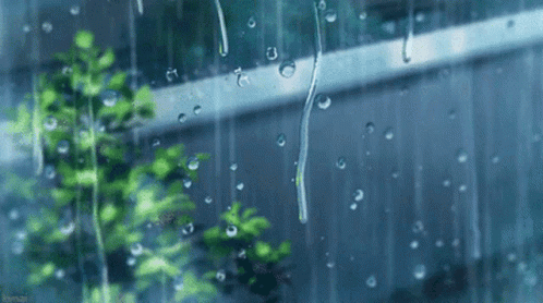 Rain Is Falling On A Window With A Fence In The Background And Trees In The Foreground . GIF