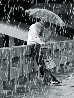 Rain Kiss Umbrella On A Bridge GIF