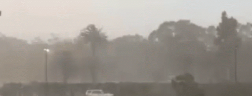 Rain Man 498 X 191 Gif GIF