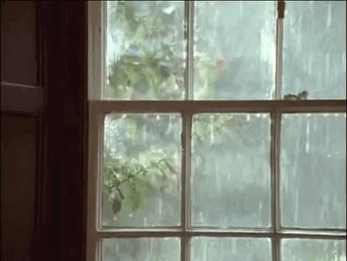 Rain Outside Window With Flying Bird GIF