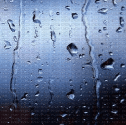 Rain Water Drip On The Window GIF