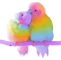 Rainbow Birds Sitting on Branch