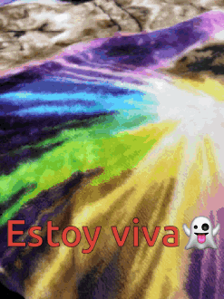Rainbow Blanket Saying Estoy Viva