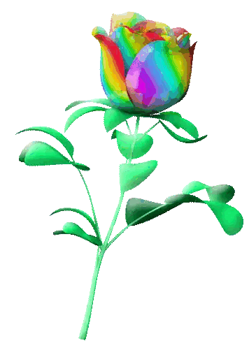 Rainbow Colored Rose With Green Leaves