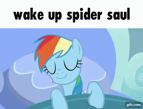 Rainbow Dash Wake Up Spider Saul