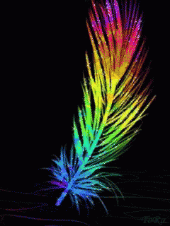 Rainbow Feather With Foxie Name GIF