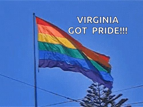 Rainbow Flag Virginia Got Pride