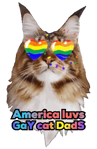 Rainbow Glasses Cat America Luvs Gay Cat Dads