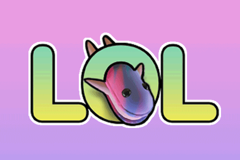 Rainbow Lol Logo With Unicorn