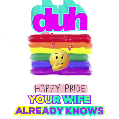 Rainbow Pride Flag Duh Happy Your Wife Knows GIF