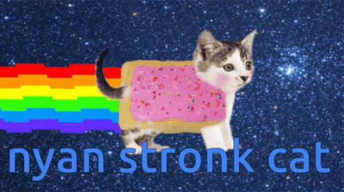 Rainbow Stronk Cat Starry Night GIF