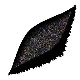 Rainbow Textured Black Leaf