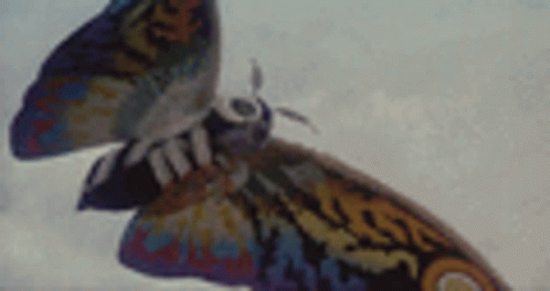 Rainbow Wings Mothra Attack GIF