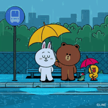 Raining Car Splash Bear And Cony Cute Couple GIF