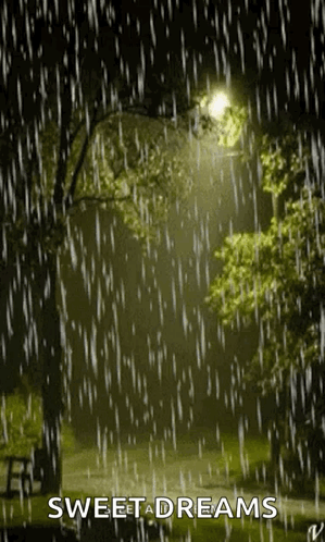 Raining Night Park with Trees and Street Light