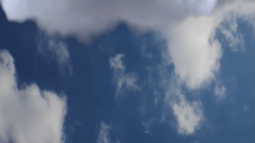 Raining Of Bagel From The Sky GIF