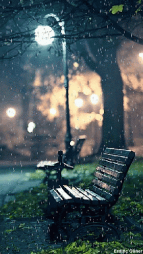 Raining On Bench GIF