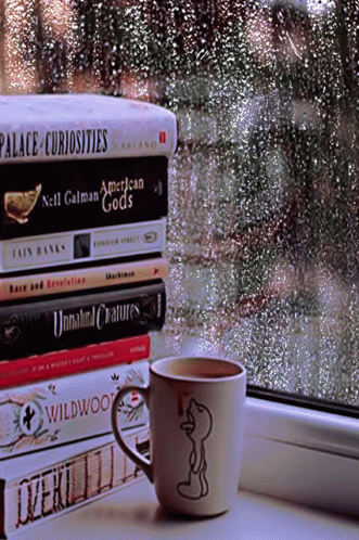 Rainy Friday Coffee And Books Beside Window GIF