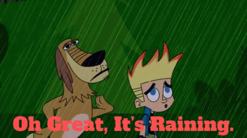 Rainy Friday Johnny Test And Dukey GIF