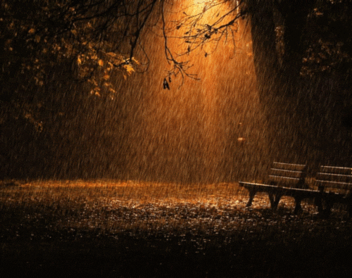 Rainy Night Chair And Light GIF