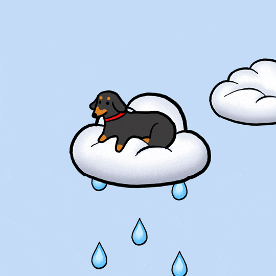 Rainy Night Dog On A Cloud GIF