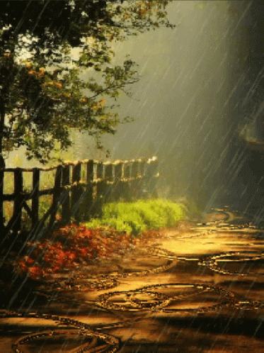 Rainy Night Rain Fall Drops GIF