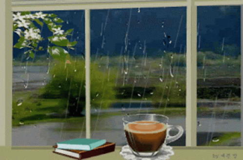 Rainy Saturday Cup Of Coffee And Books GIF
