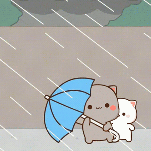 Rainy Saturday Peach And Goma Cats GIF