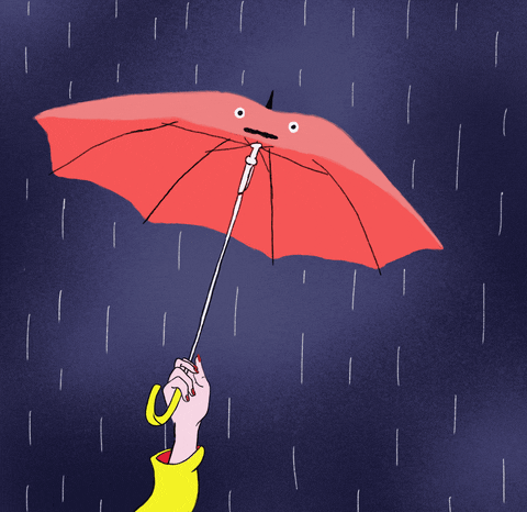 Rainy Tuesday Umbrella Shocked GIF