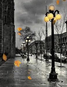 Rainy Wednesday Dark City Street GIF