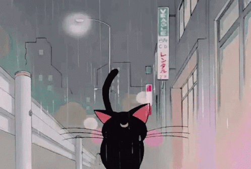 Rainy Wednesday Sailor Moon Cat Luna GIF
