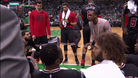 Rajon Rondo Coaching Chicago Bulls GIF