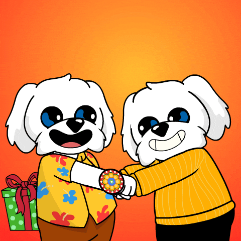 Rakhi Special Gift From Sibling GIF