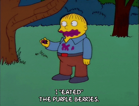 Ralph Wiggum I Eated The Purple Berries GIF