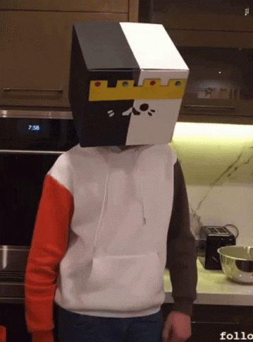 Ranboo Cuptoast Dancing GIF