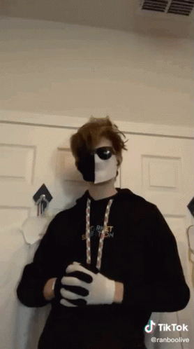 Ranboo Touching The Wall GIF