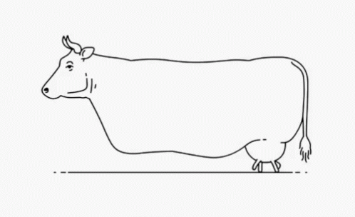 Random Cow Weird Feet Walk GIF